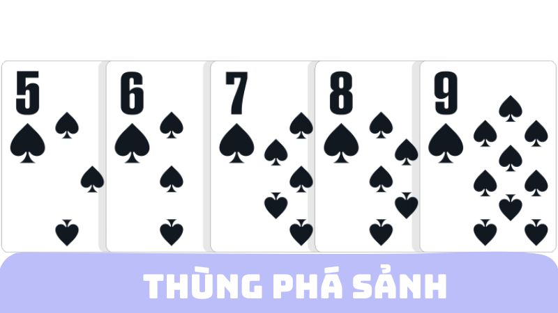 Thùng phá sảnh có 5 quân bài liên tiếp tương tự nhau về chất